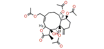 Junceellonoid B